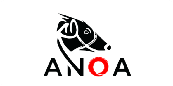 anoa